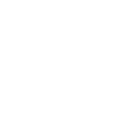 Integrity Icon